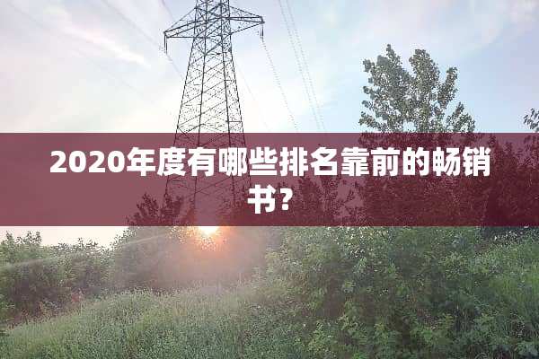 2020年度有哪些排名靠前的畅销书？