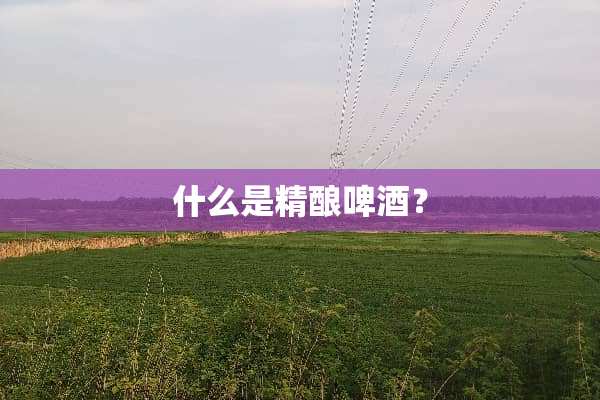 什么是精酿啤酒？