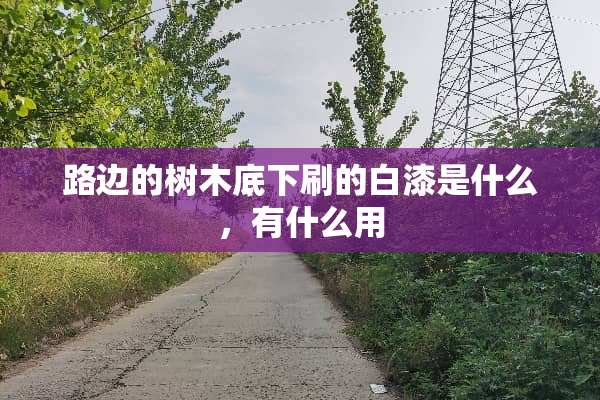 路边的树木底下刷的白漆是什么，有什么用