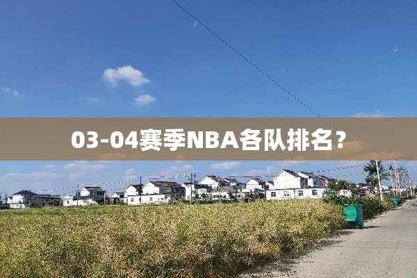 03-04赛季NBA各队排名？