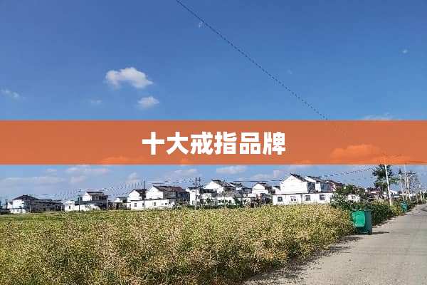 十大戒指品牌