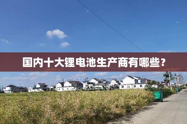 国内十大锂电池生产商有哪些？