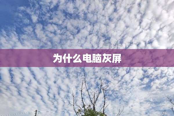 为什么电脑灰屏