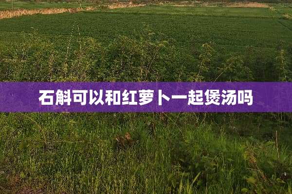石斛可以和红萝卜一起煲汤吗