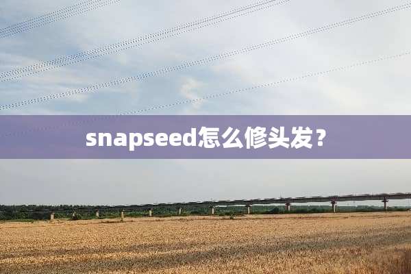 snapseed怎么修头发？