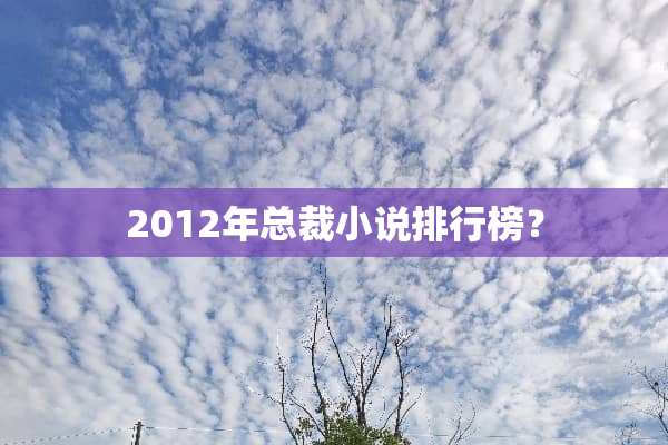 2012年总裁小说排行榜？