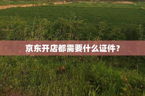 京东开店都需要什么**？
