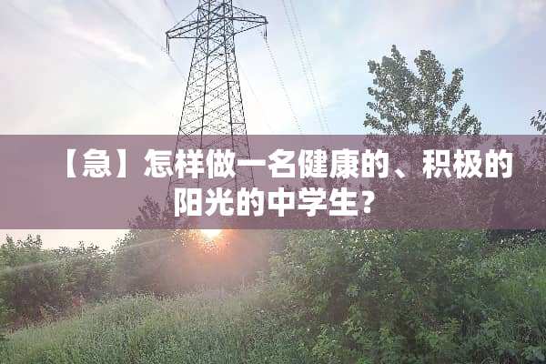 【急】怎样做一名健康的、积极的阳光的中学生？