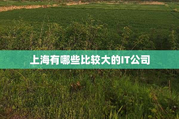 上海有哪些比较大的IT公司