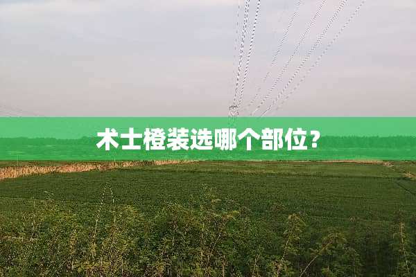 术士橙装选哪个部位？