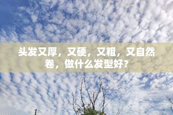 头发又厚，又硬，又粗，又自然卷，做什么发型好？