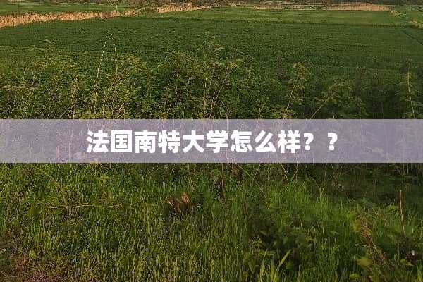 法国南特大学怎么样？？