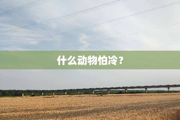 什么动物怕冷？