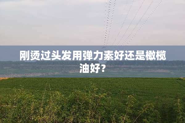 刚烫过头发用弹力素好还是橄榄油好？