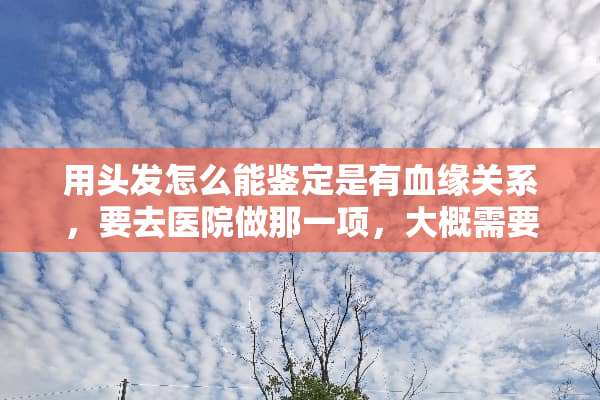 用头发怎么能鉴定是有血缘关系，要去医院做那一项，大概需要多少钱？