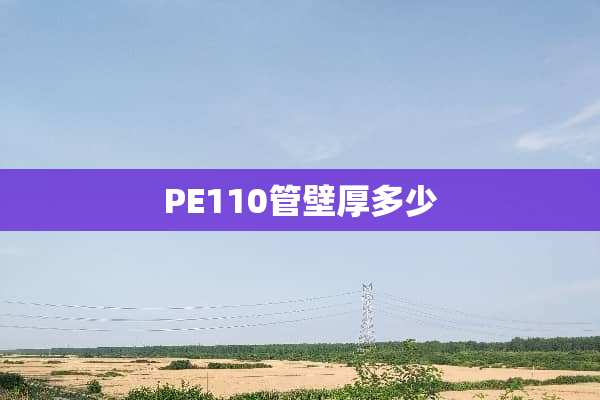 PE110管壁厚多少