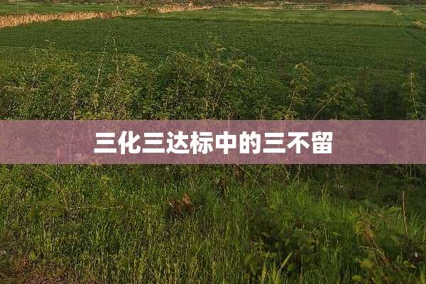 三化三达标中的三不留