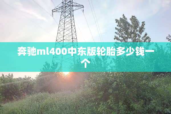 奔驰ml400中东版轮胎多少钱一个
