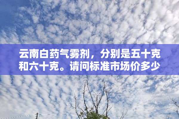 云南白药气雾剂，分别是五十克和六十克。请问标准市场价多少钱？