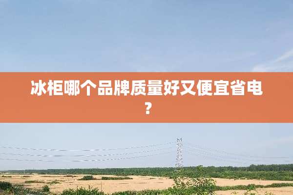 冰柜哪个品牌质量好又便宜省电？
