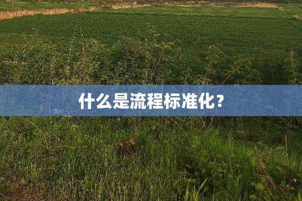 什么是流程标准化？