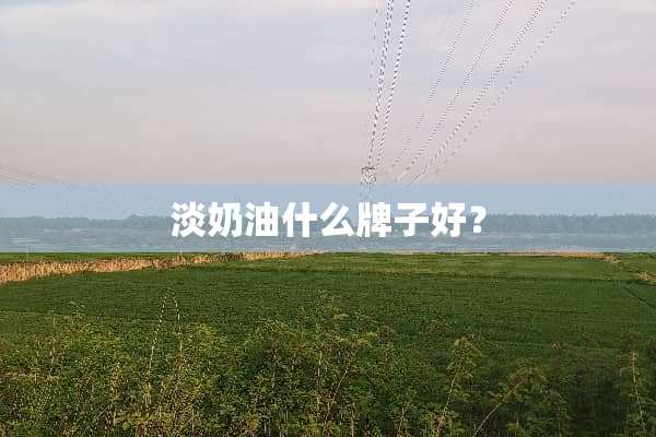 淡奶油什么牌子好？