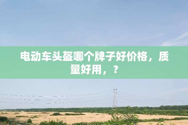 电动车头盔哪个牌子好价格，质量好用，？