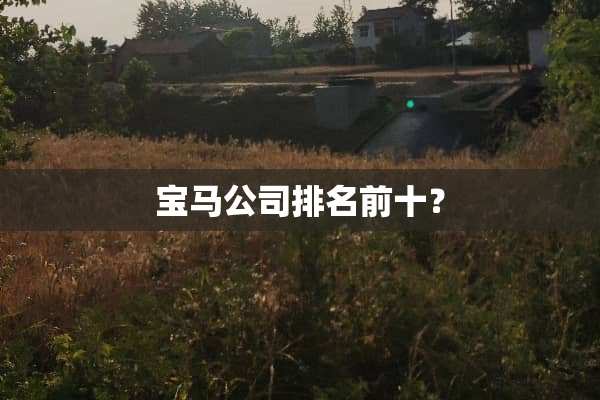 宝马公司排名前十？