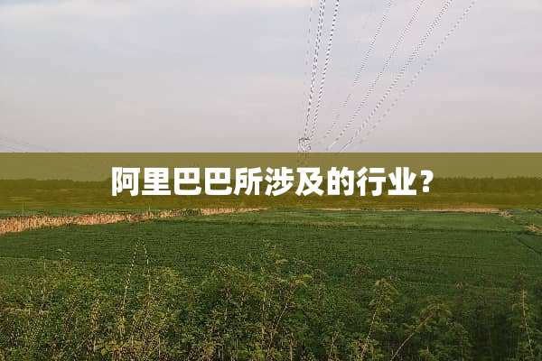 阿里巴巴所涉及的行业？