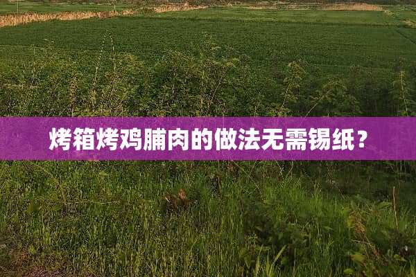 烤箱烤鸡脯肉的做法无需锡纸？
