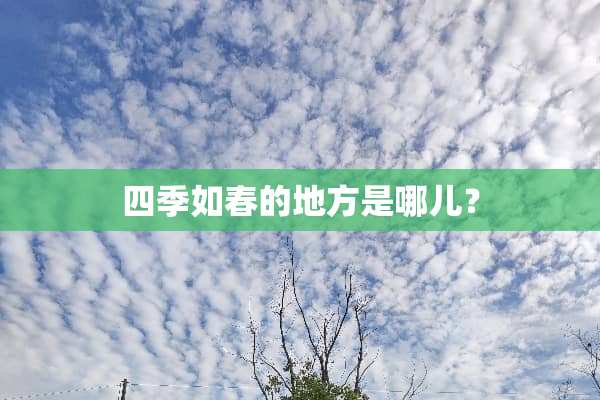 四季如春的地方是哪儿？