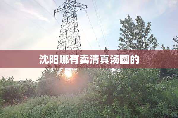 沈阳哪有卖清真汤圆的