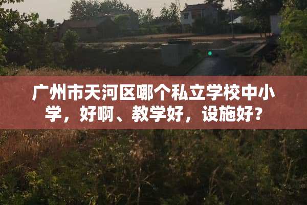 广州市天河区哪个私立学校中小学，好啊、教学好，设施好？