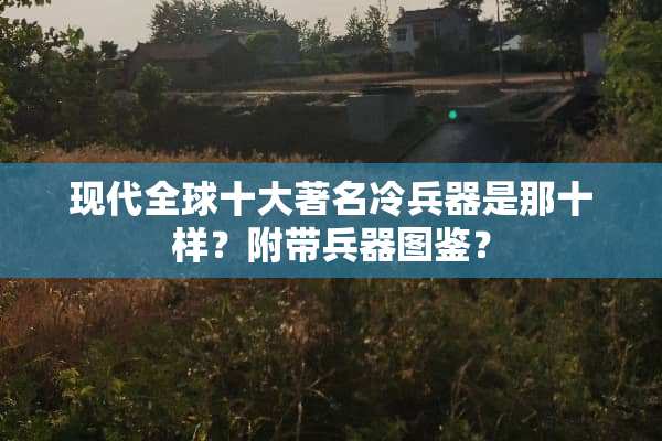 现代全球十大著名冷兵器是那十样？附带兵器图鉴？