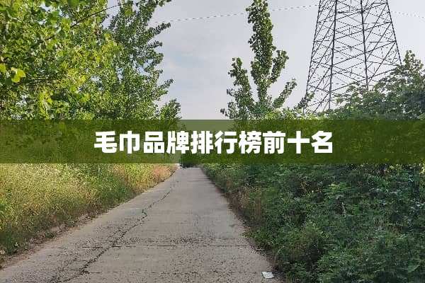 毛巾品牌排行榜前十名