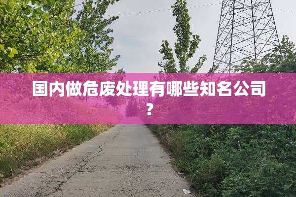 国内做危废处理有哪些知名公司？