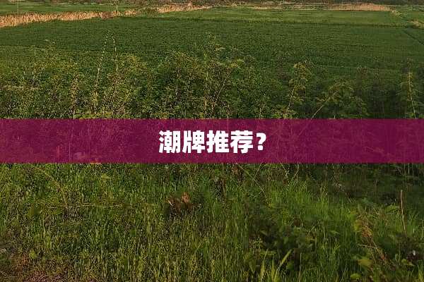 潮牌推荐？