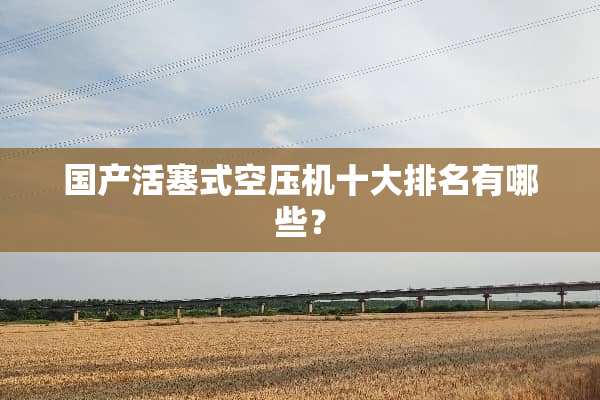国产活塞式空压机十大排名有哪些？