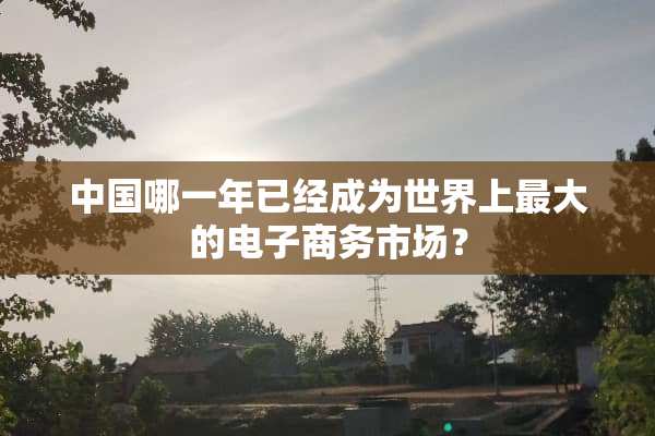 中国哪一年已经成为世界上最大的电子商务市场？