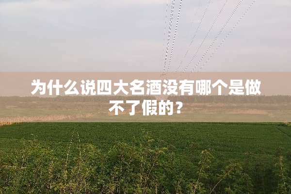 为什么说四大名酒没有哪个是做不了假的？