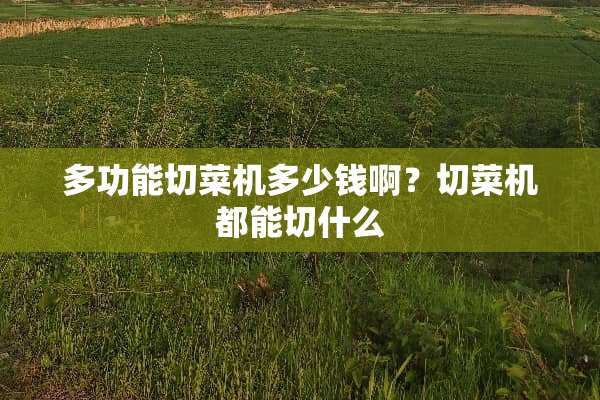 多功能切菜机多少钱啊？切菜机都能切什么