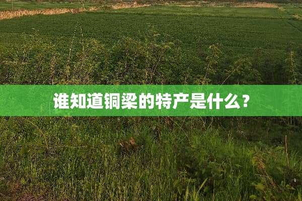 谁知道铜梁的特产是什么？