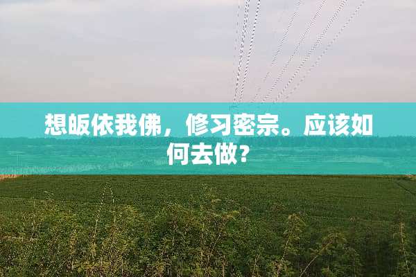 想皈依我佛，修习密宗。应该如何去做？