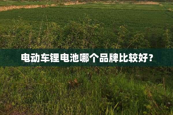 电动车锂电池哪个品牌比较好？