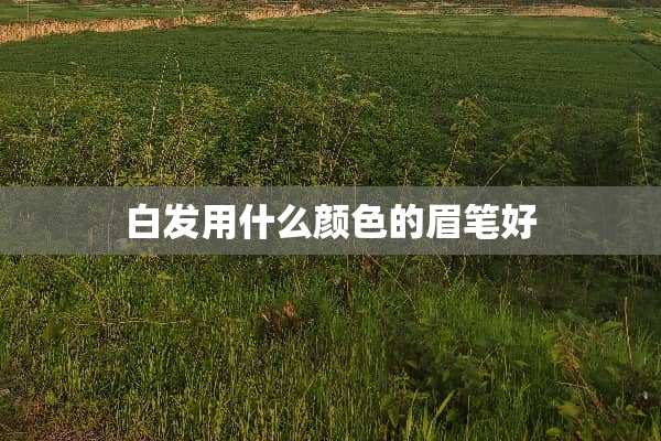 白发用什么颜色的眉笔好