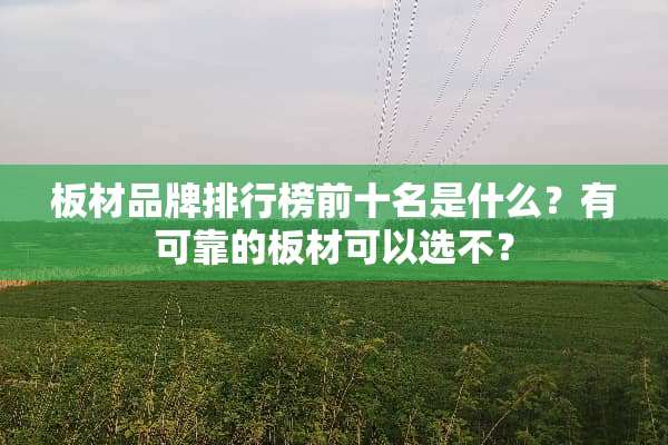 板材品牌排行榜前十名是什么？有可靠的板材可以选不？