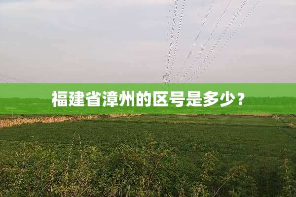 福建省漳州的区号是多少？