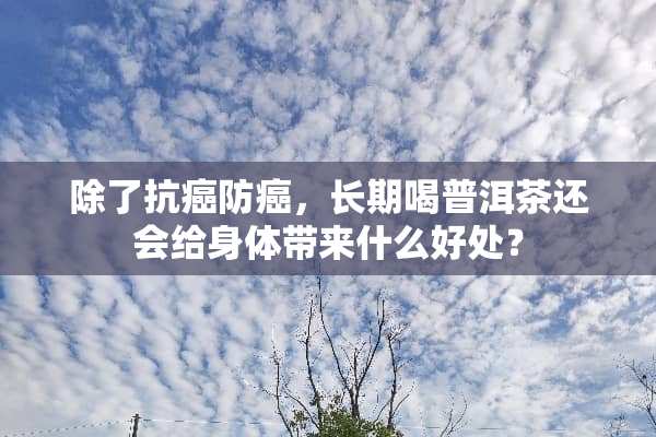 除了抗癌防癌，长期喝普洱茶还会给身体带来什么好处？