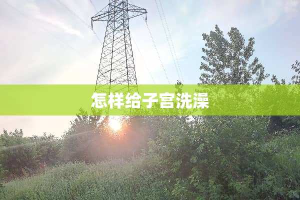 怎样给子宫洗澡