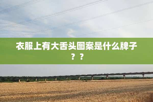 衣服上有大舌头图案是什么牌子？？